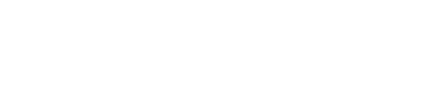 REXIN SpA